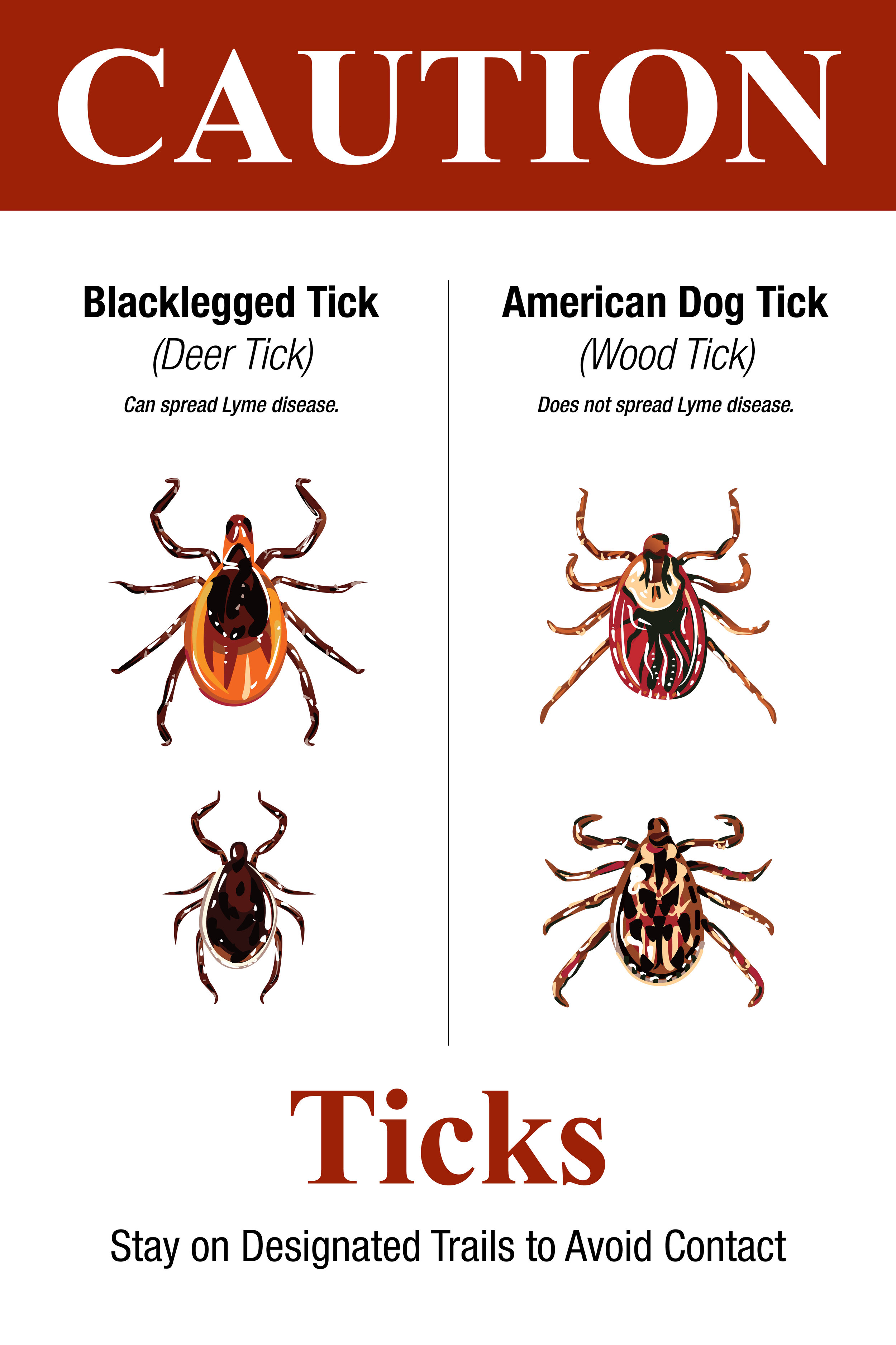 ticks.jpg