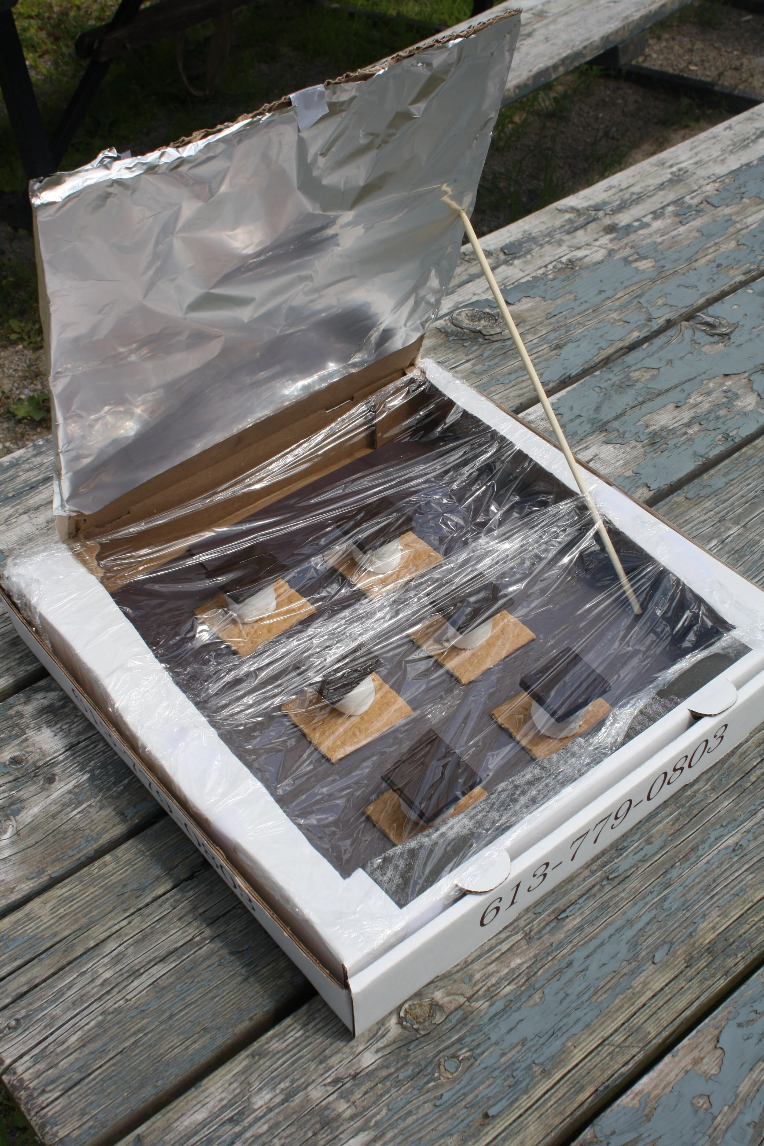 I Will Survive Activity #3