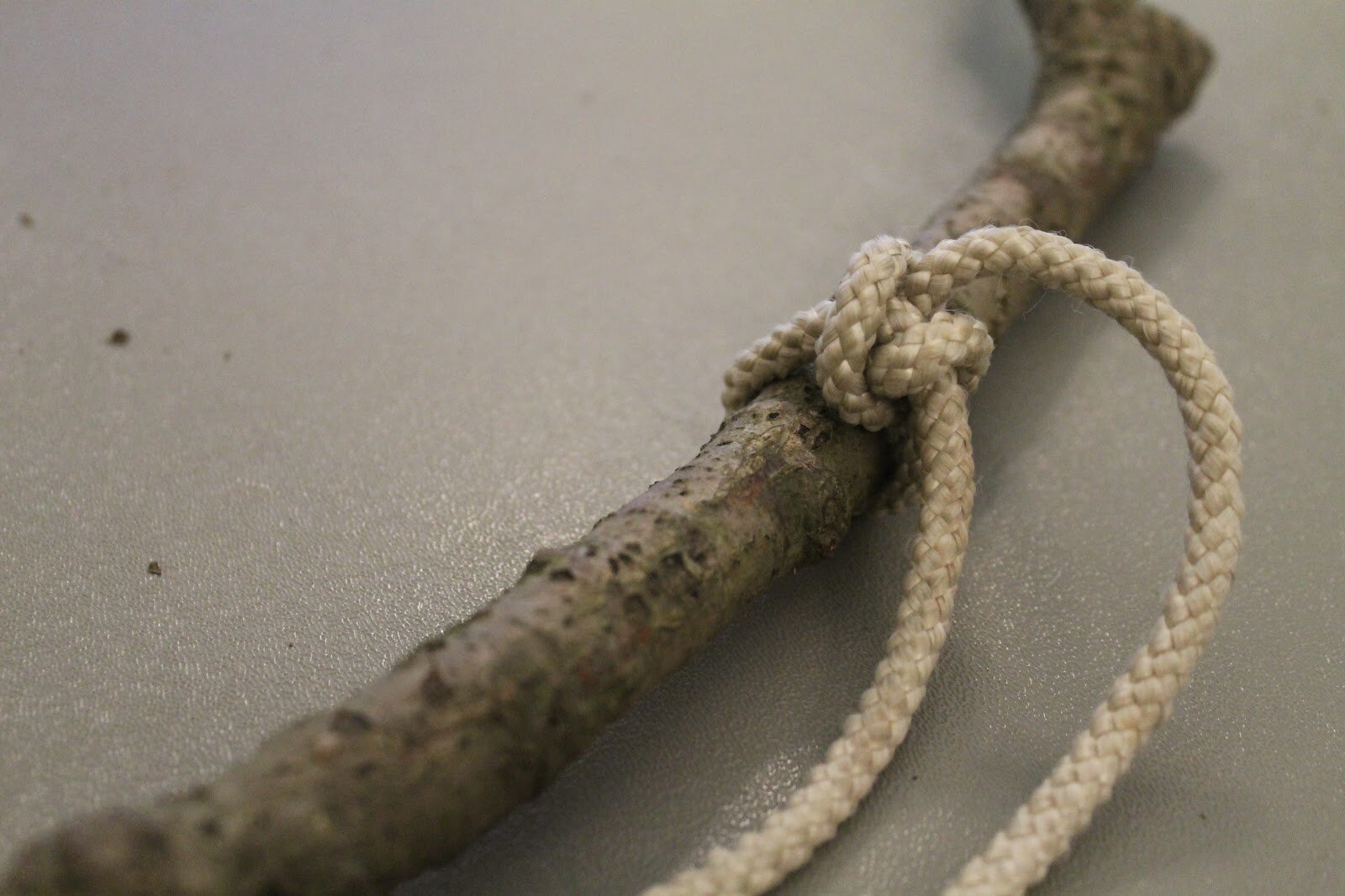 I Will Survive Activity #2 