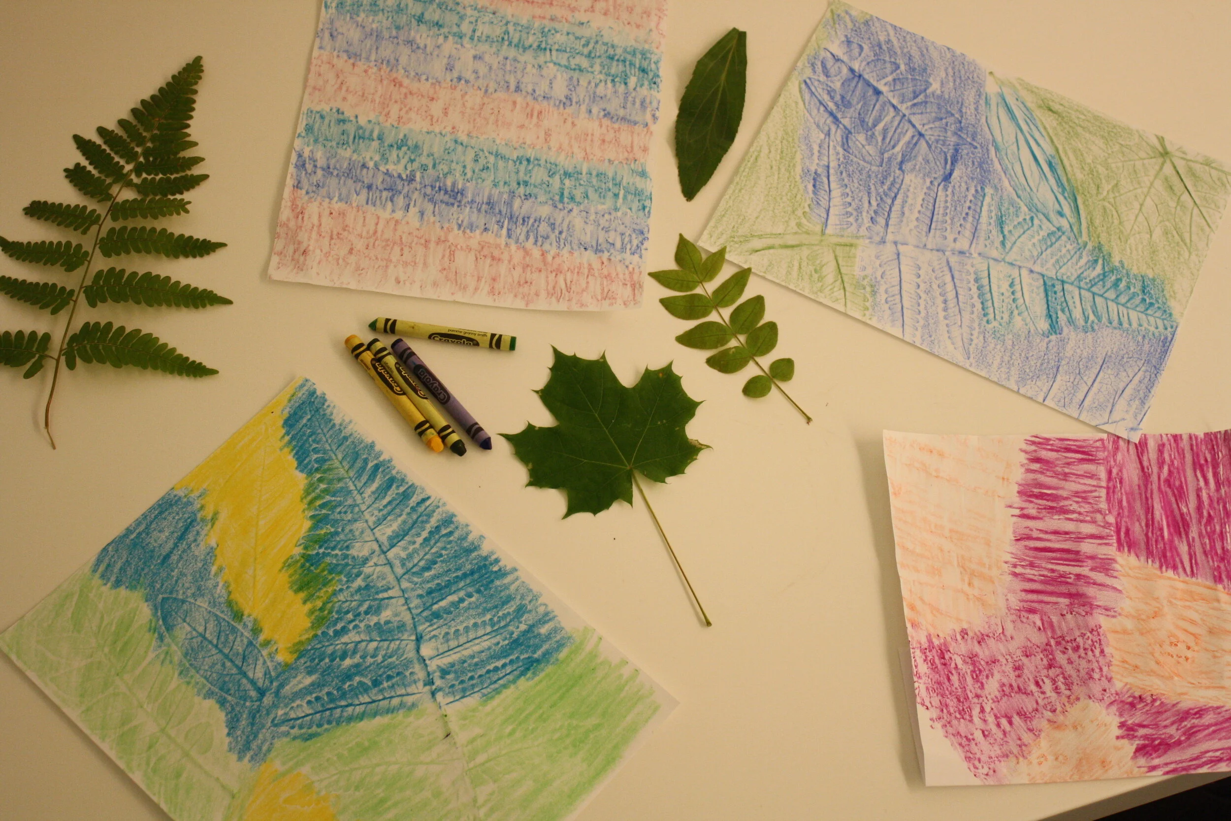 Tree Week Activity #1