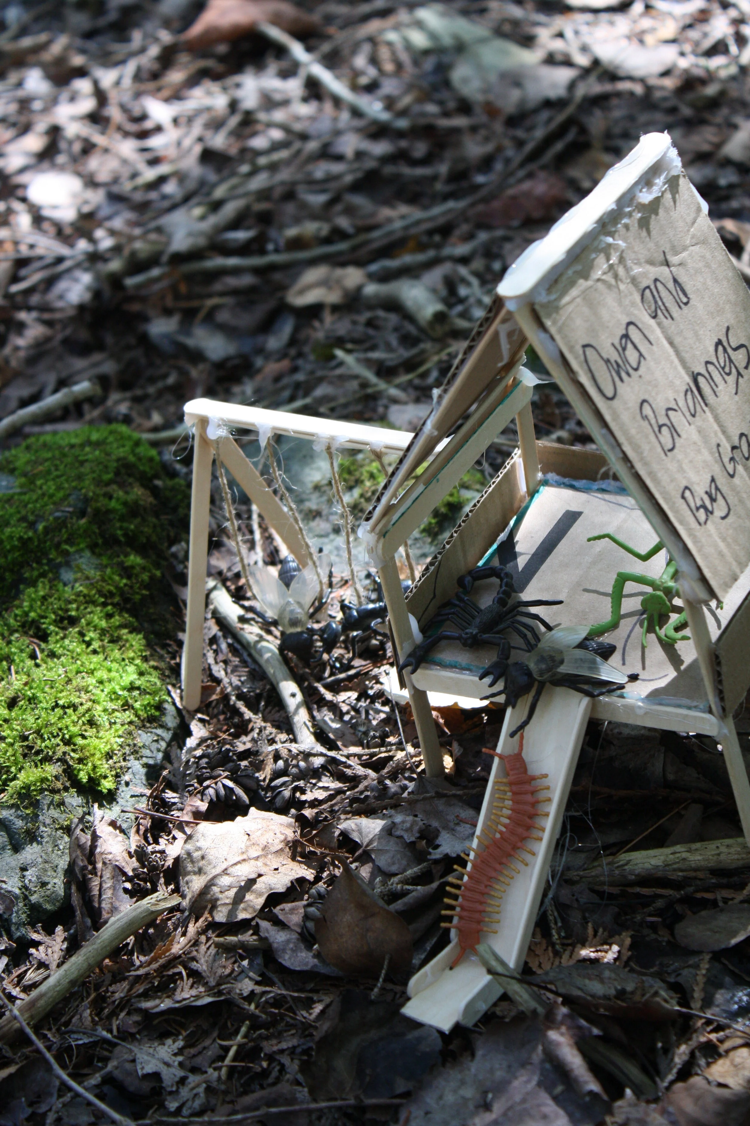 Small &amp; Mighty Activity #1