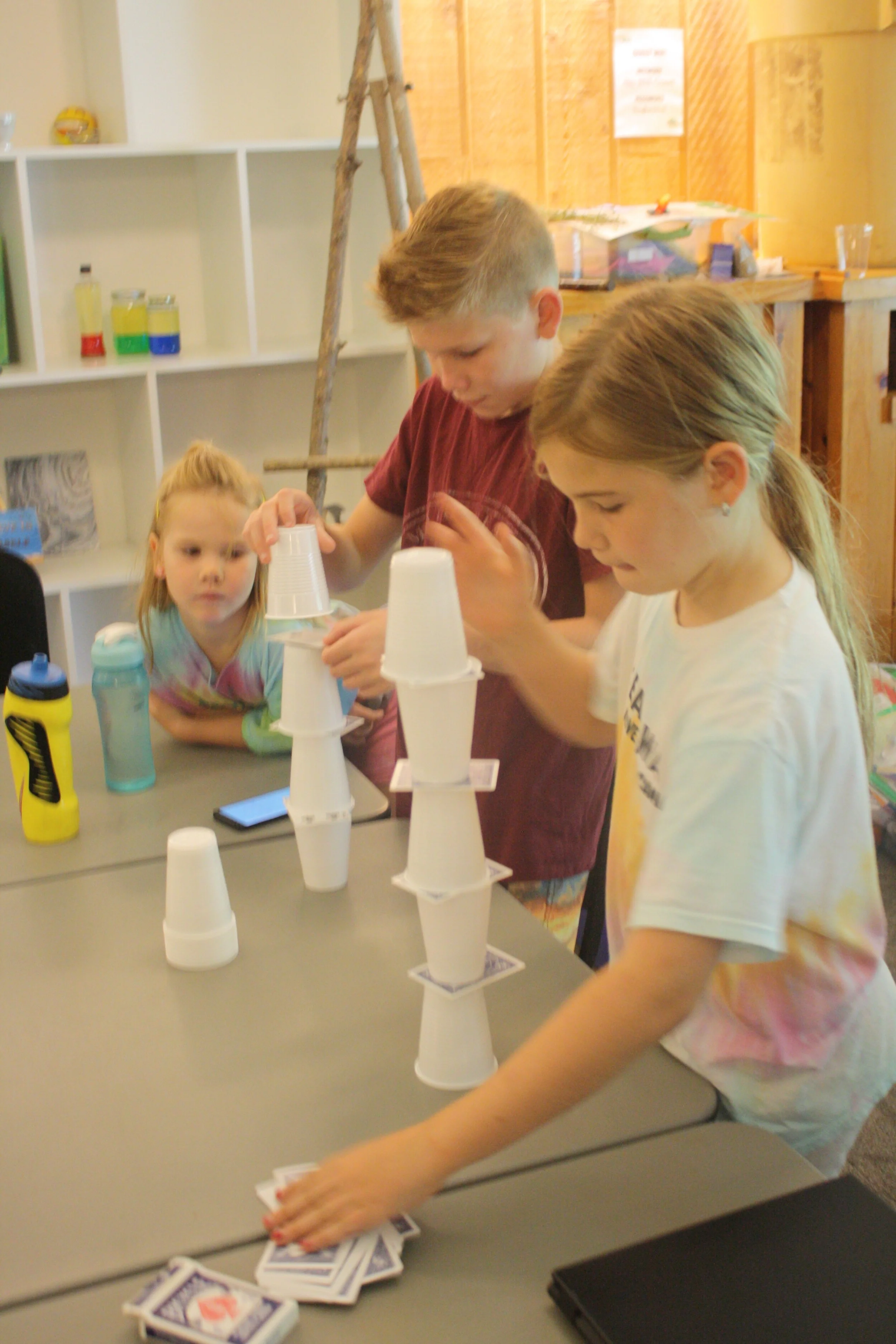 Wild &amp; Whimsy Activity #1