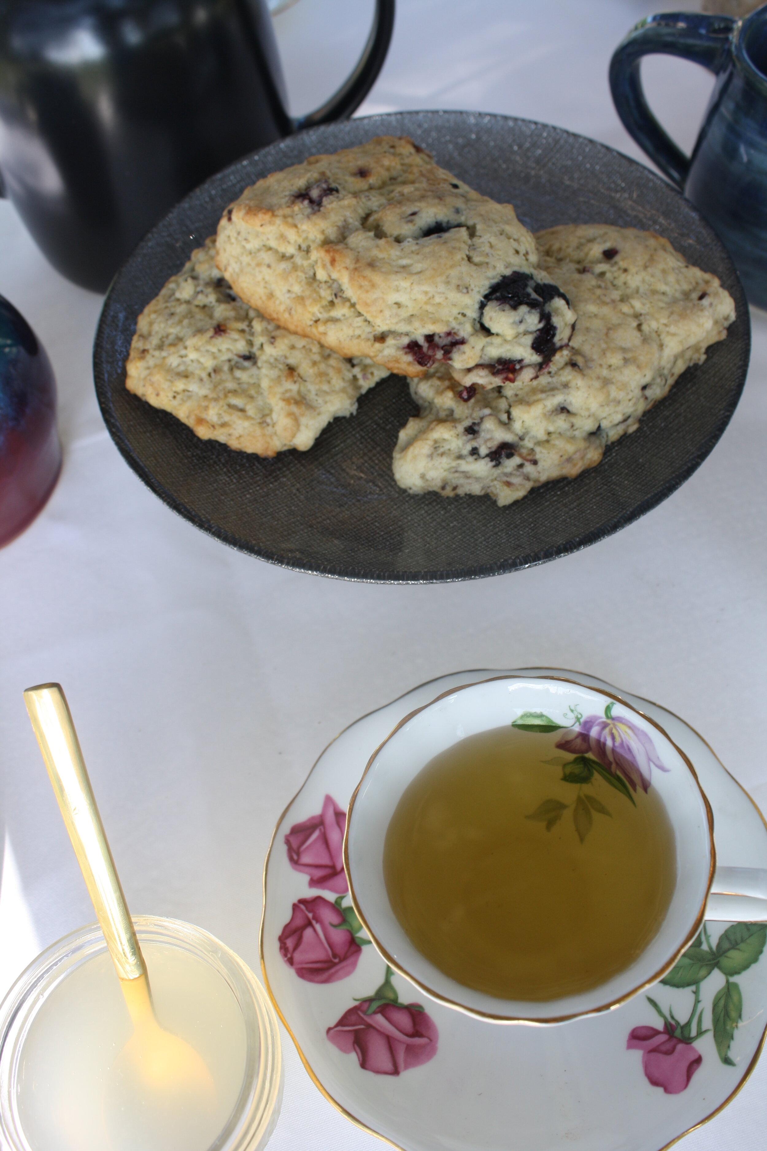 Wild &amp; Whimsy Activity #3