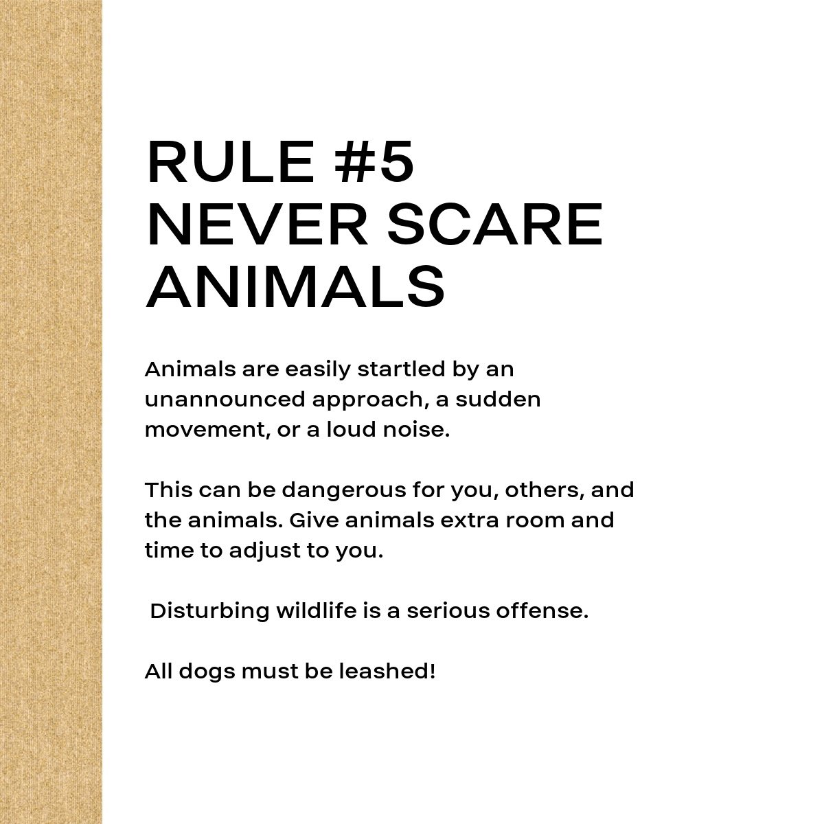 #5 Never Scare Animals Side.jpg
