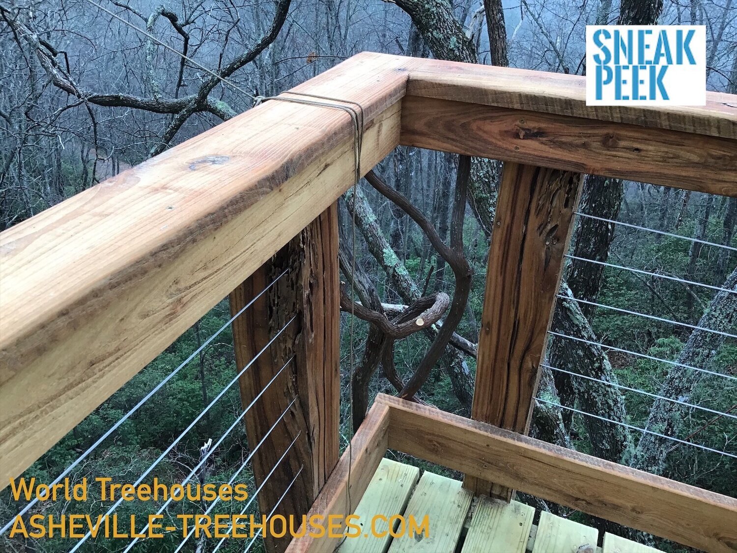 Our upcoming treehouse will be a healing sanctuary in the forest canopy