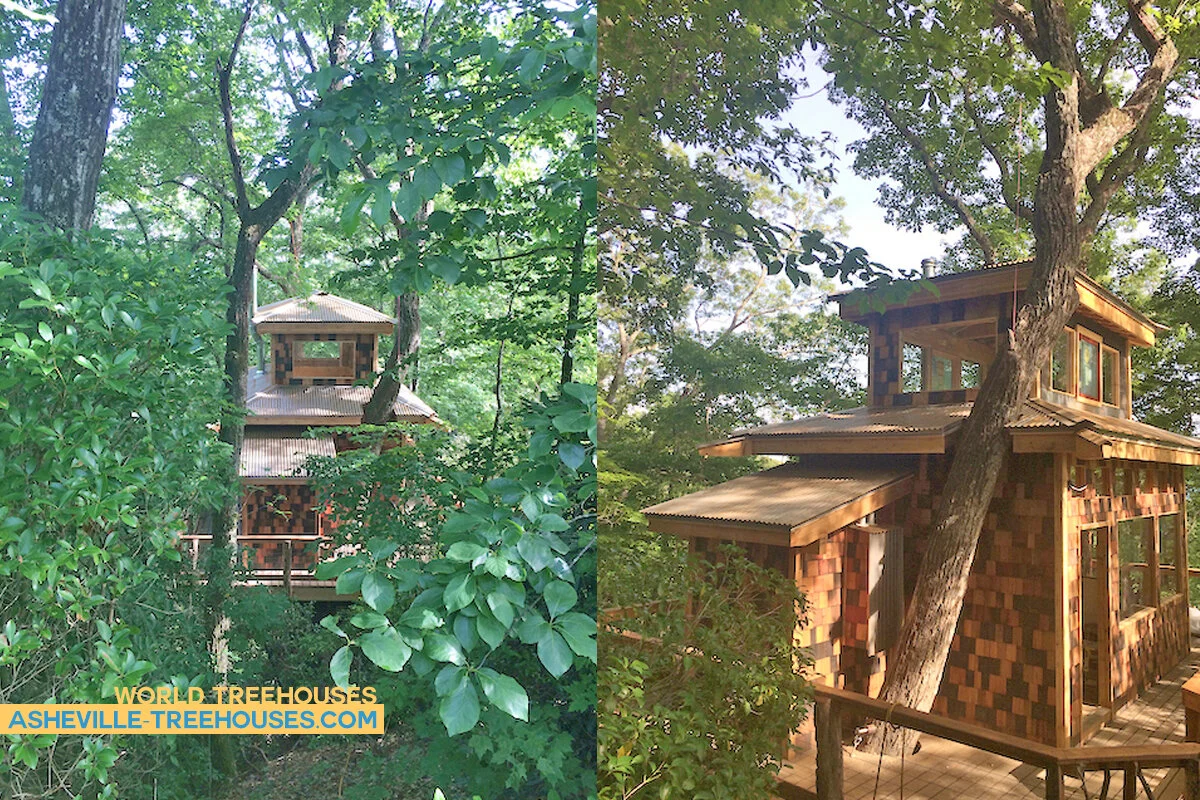 WNC tree house builder: A new treehouse crafted using timber frame building techniques.