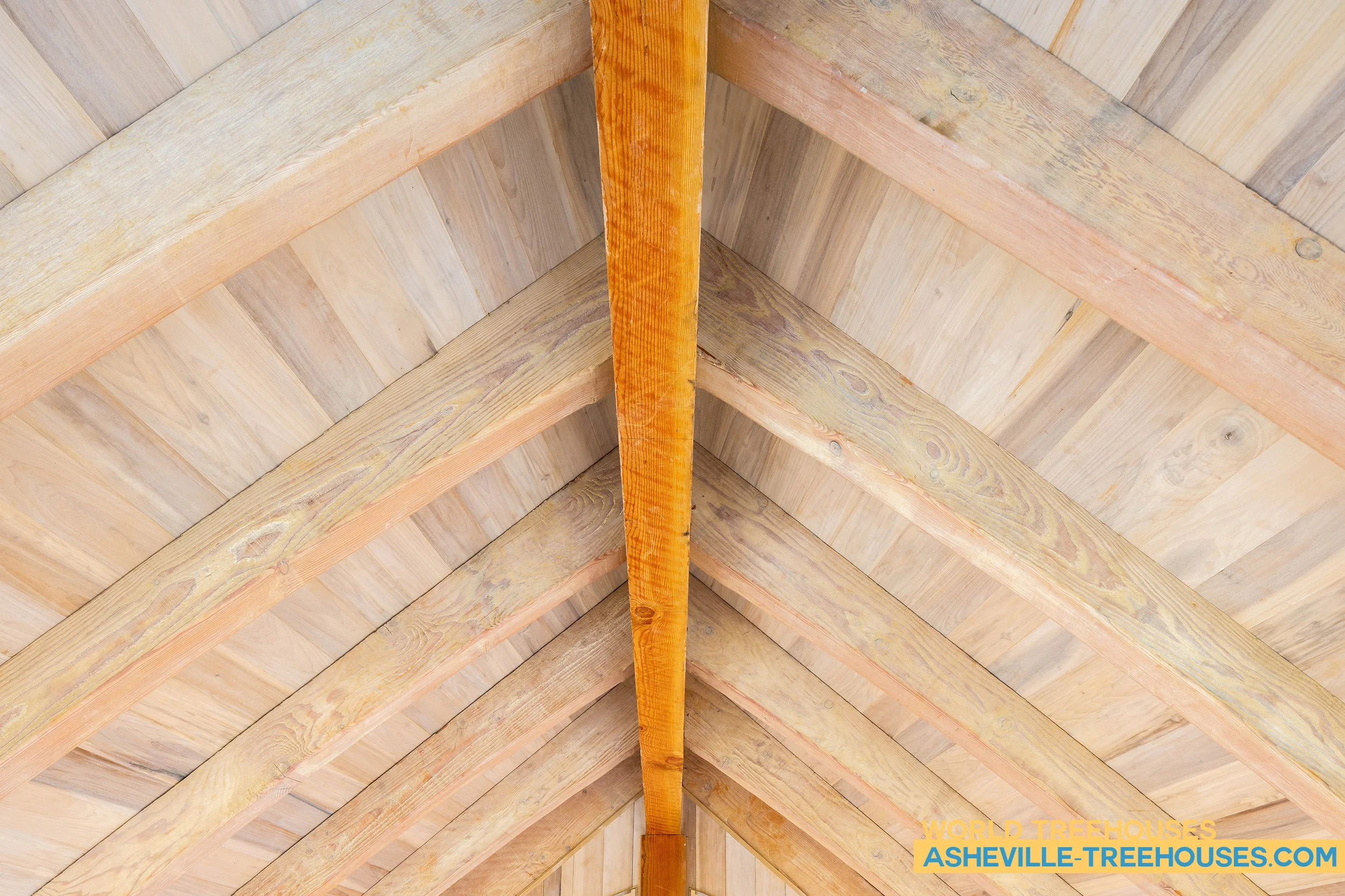 Tree House Builders Co-Design with the Trees