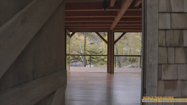 Custom Treehouse Builders: Experience the Beauty of a Treehouse from a Bird's-Eye Video View