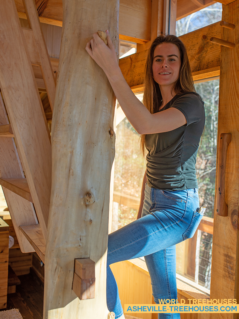 WNC Treehouse Builders Make the Most of Nature's Gifts