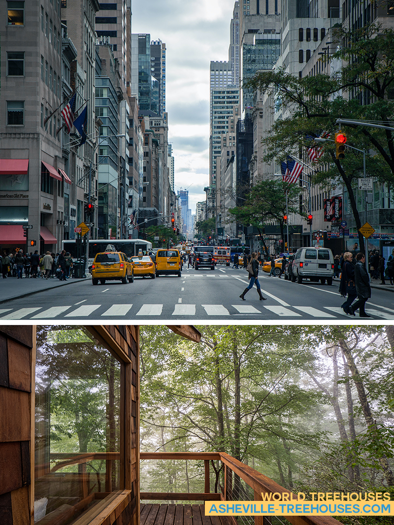 WNC Tree House Builders Create Spaces to Breathe and Recharge