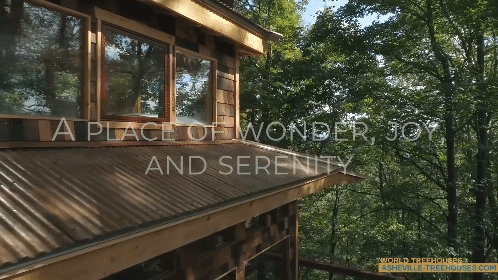 Treehouse Builders: Perfection in Craftsmanship