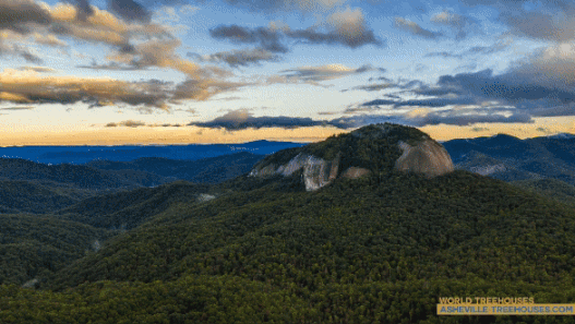"The Trees will Share Their Secrets with Those Who Tune In...": the Experience of Your Custom Tree House Builders