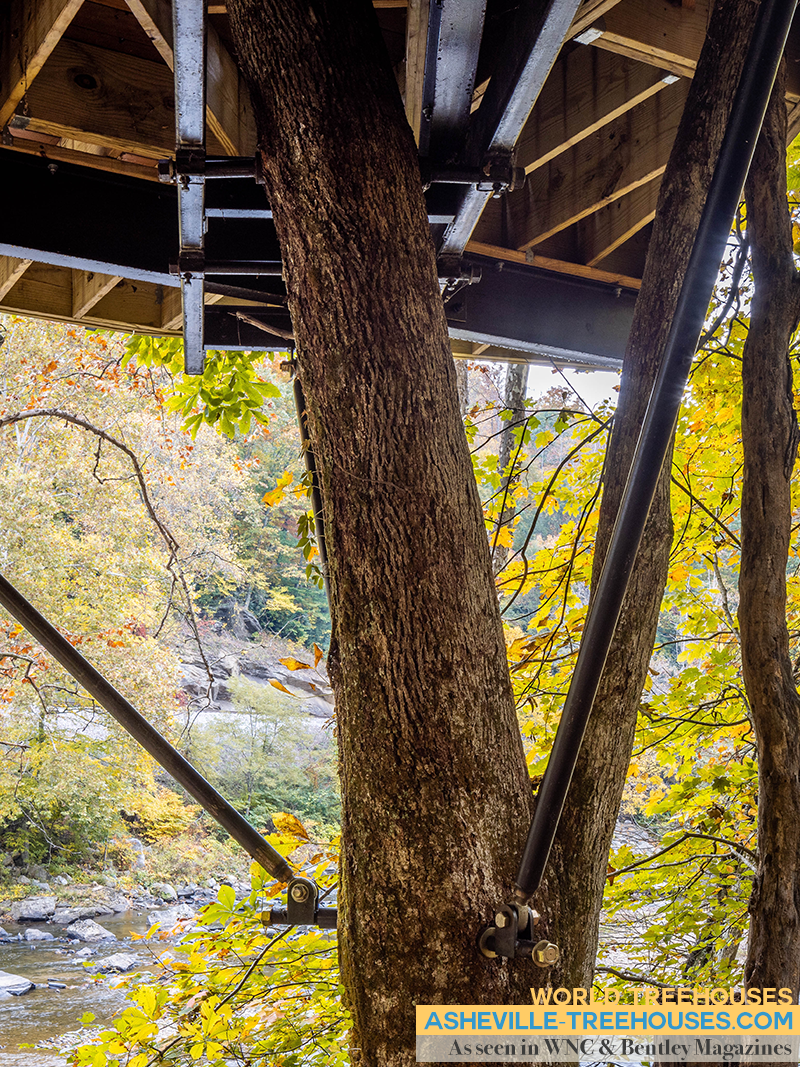 Treehouse Builders Explain: What’s the Foundation of a Good Treehouse?