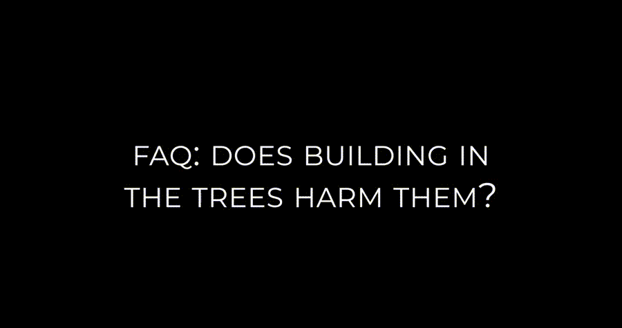 Asheville Treehouse Builders Answers a Top FAQ question: Does Building in the Trees Harm Them?