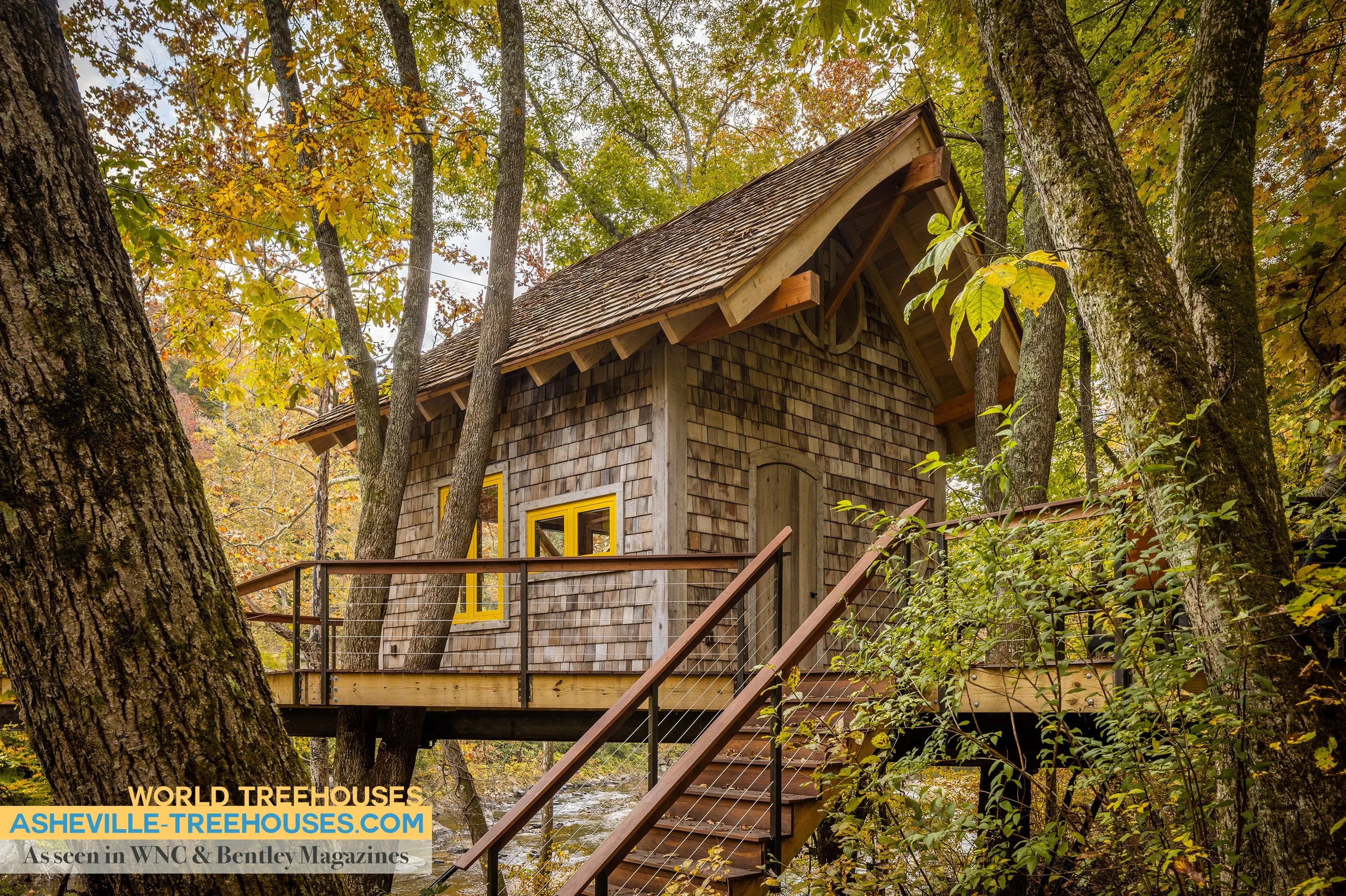 Custom Treehouse Builder Crafts Secluded Forest Escape