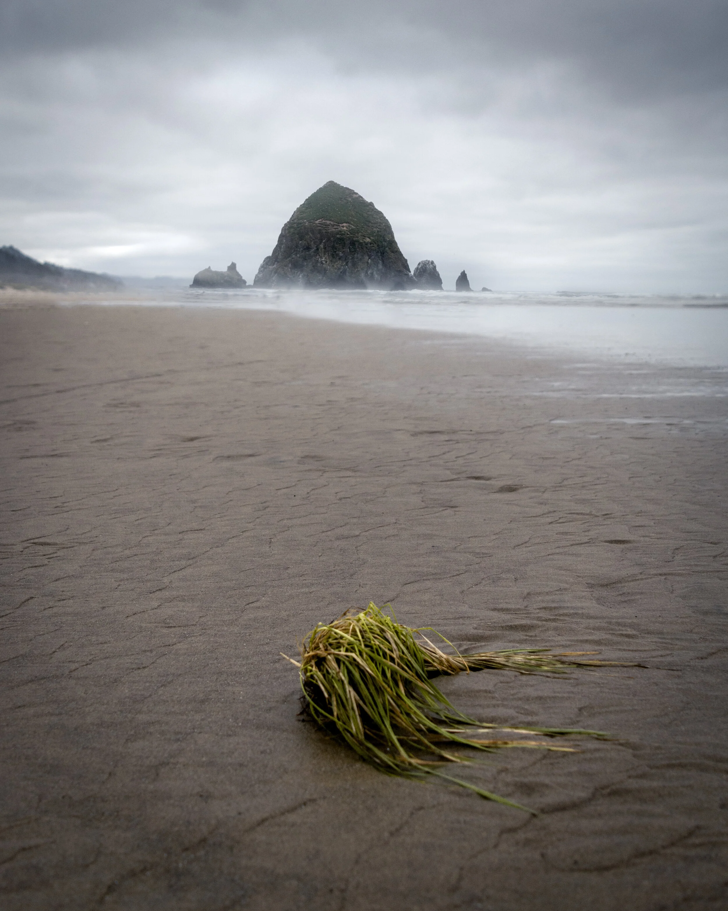 Oregon 2019 324-Edit.jpg