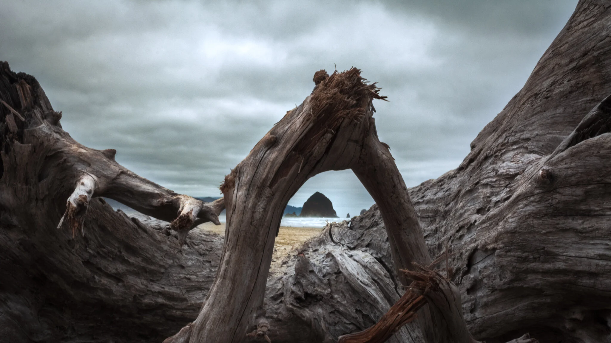 Oregon 2019 399-Edit.jpg