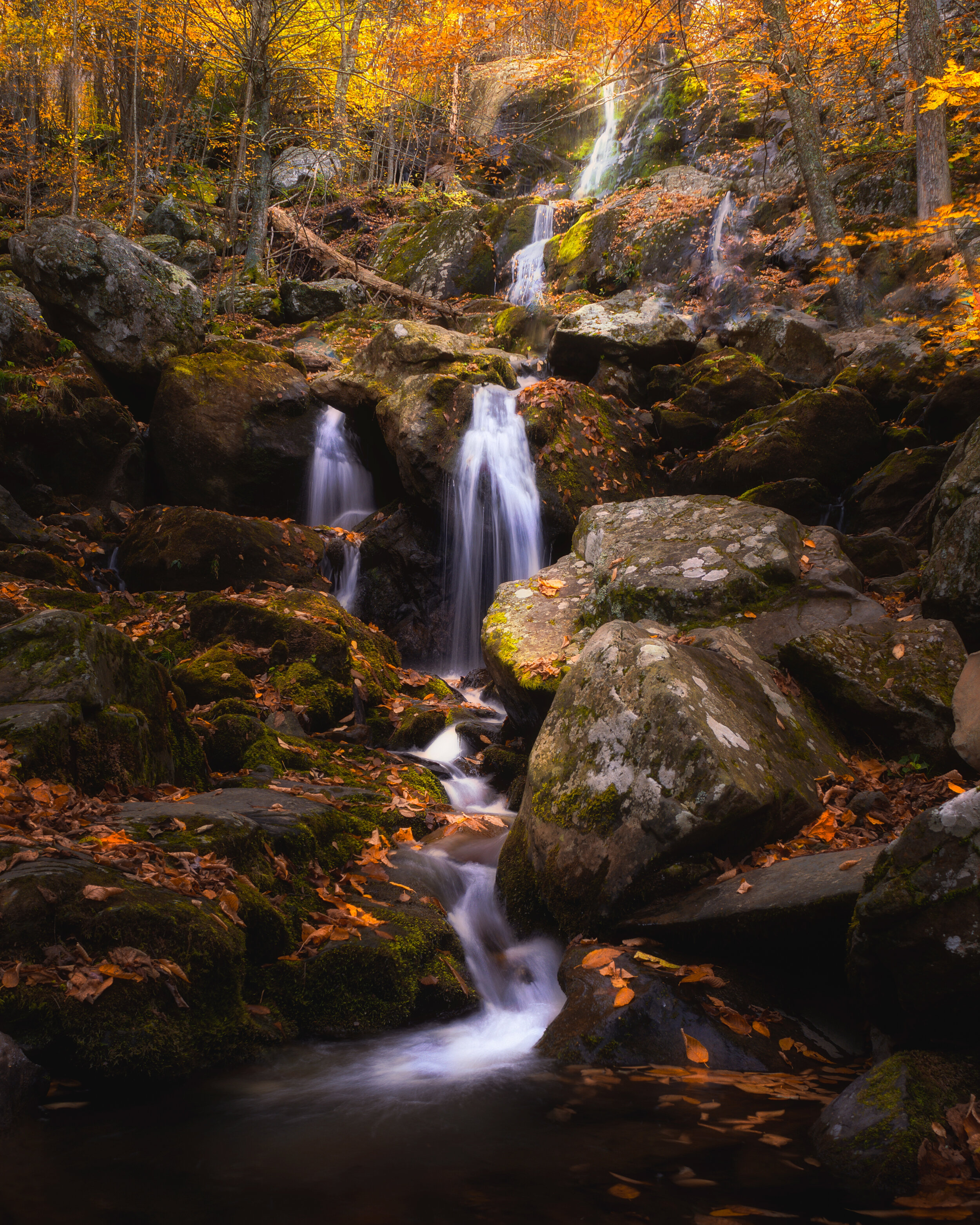 "Autumn Cascades"