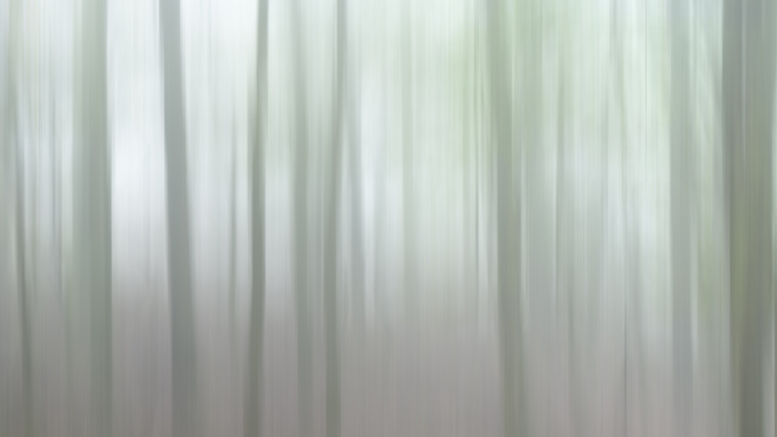 "Spirits of the Grove I"