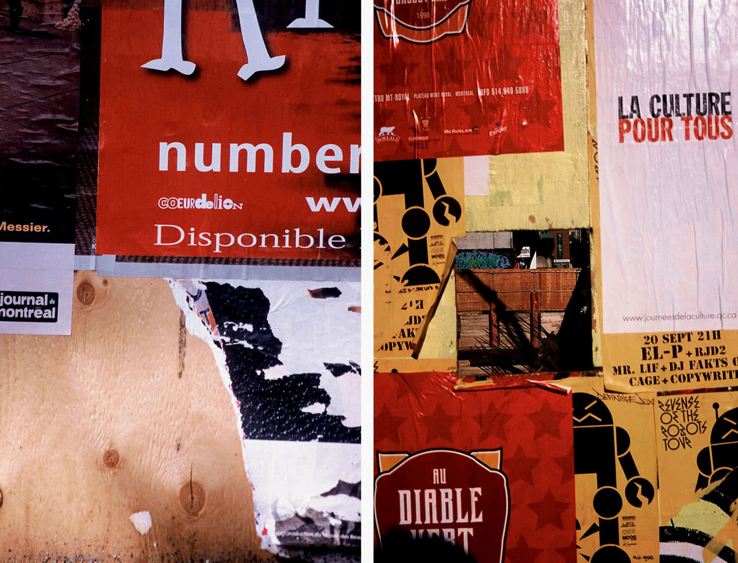 karen_jordan_news_9F_AvailableCulture_Diptych_photo-realistic_abstract_Images_posters_French_text_Montreal_Canada-4web.jpg