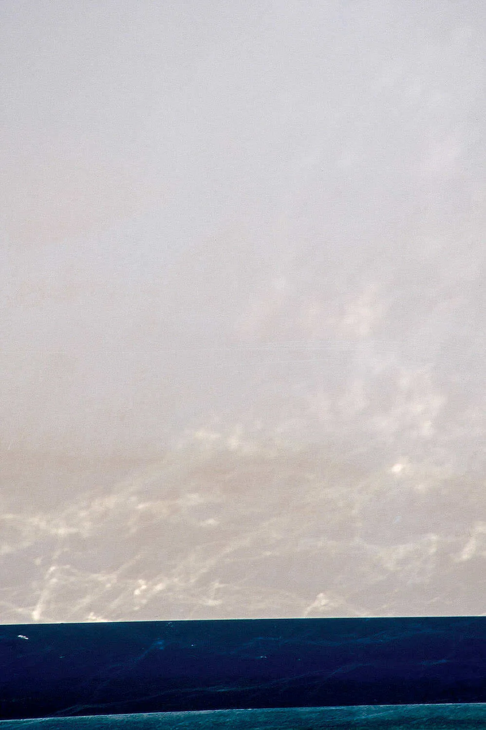SELECTED FOR THE FIFTIETH ANNIVERSARY BIENNIAL EXHIBITION