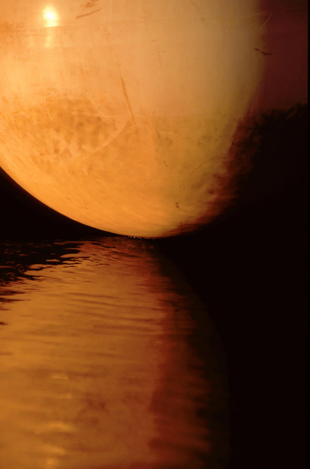 EXHIBITING: "COSMOS AT THE COSMOS"