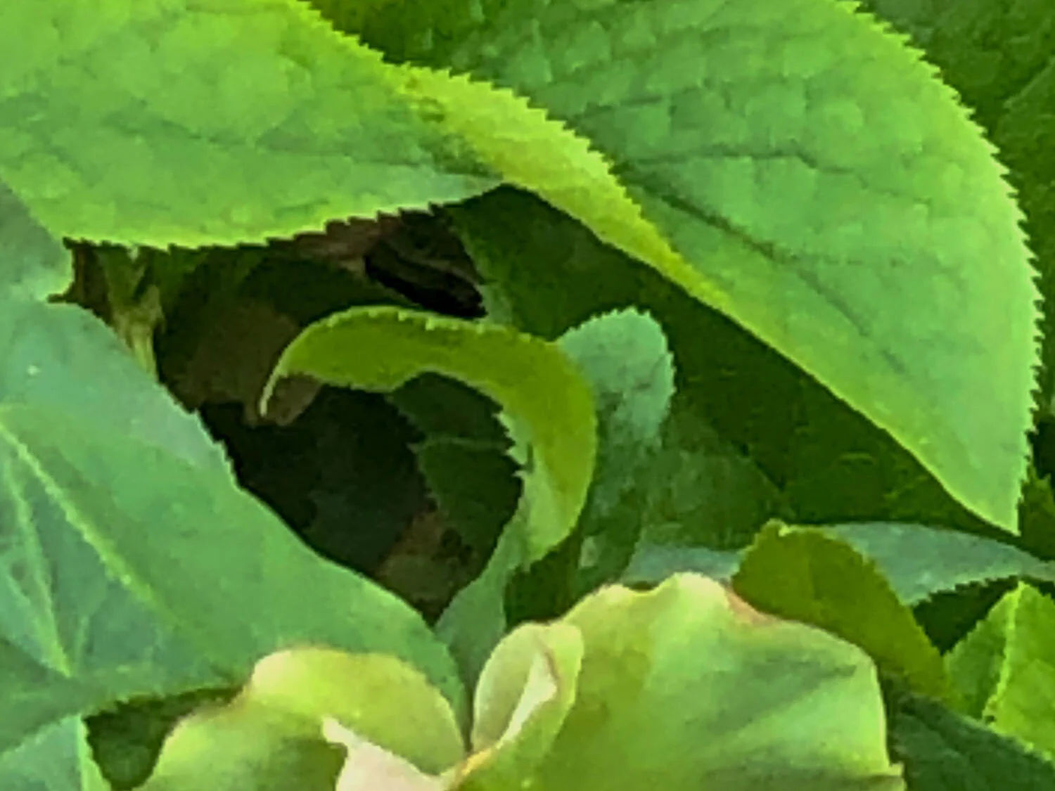 Au Printemps Suite No.1