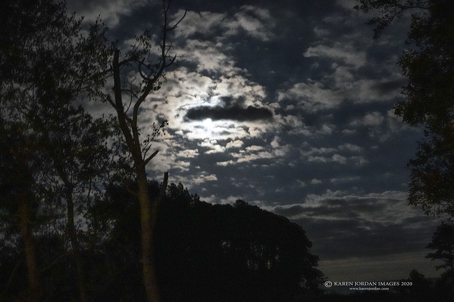 Bat Cloud Appears over October Blue Moon on Halloween!