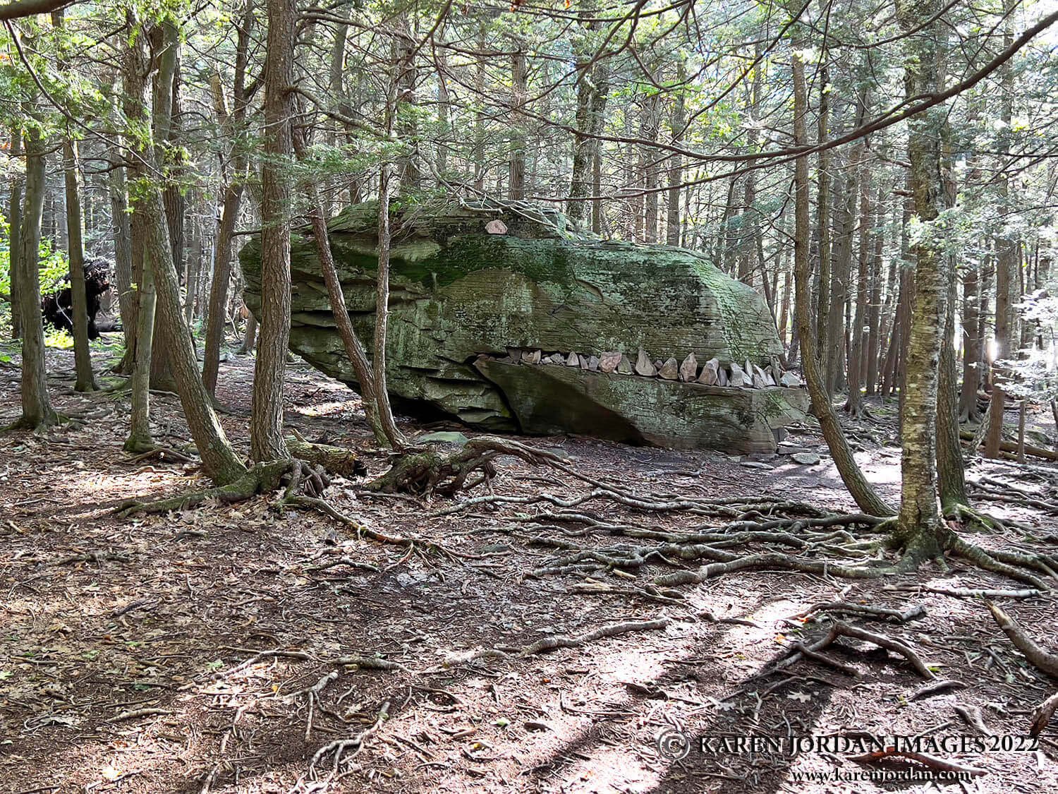 DINOSAUR ROCK, CATSKILLS