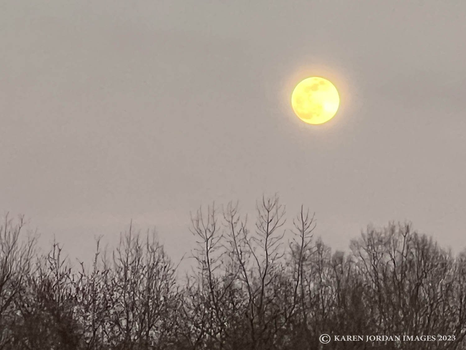 MOONRISE, Last Full Moon of Winter
