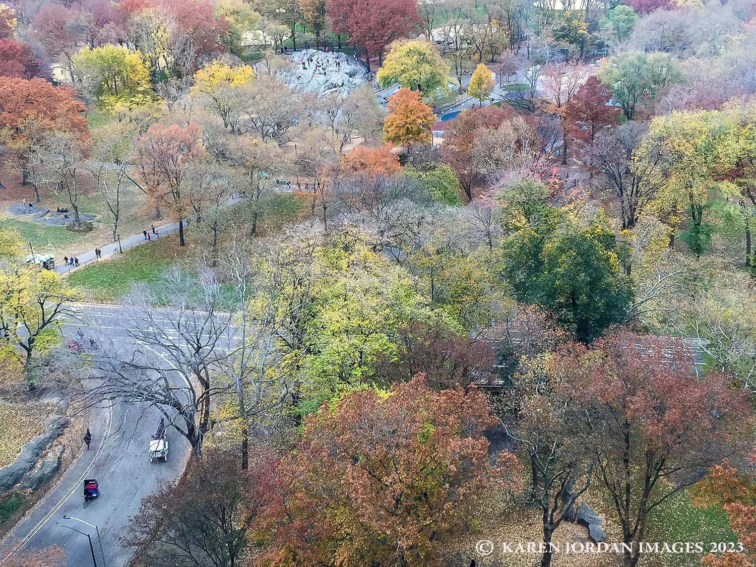    In Autumno Decoro     (In Glorious Autumn)   Central Park, NYC 