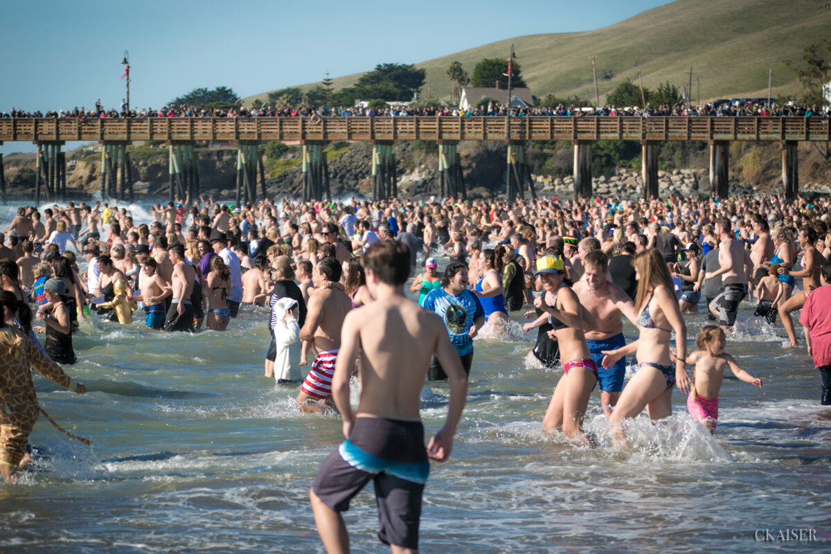 Polarbeardip2019_272.jpg