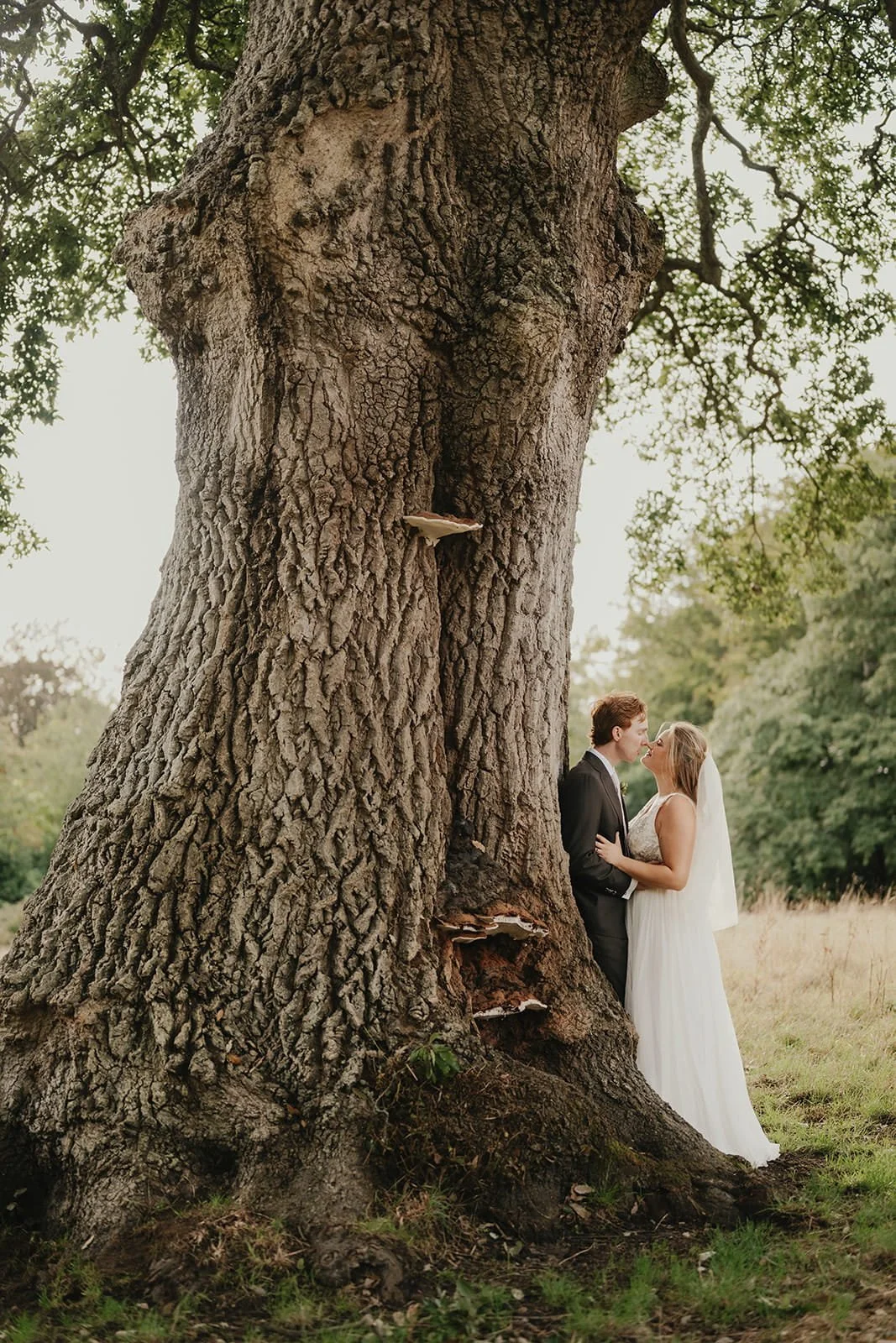 bride-and-groom-kiss-oak-tree.jpg