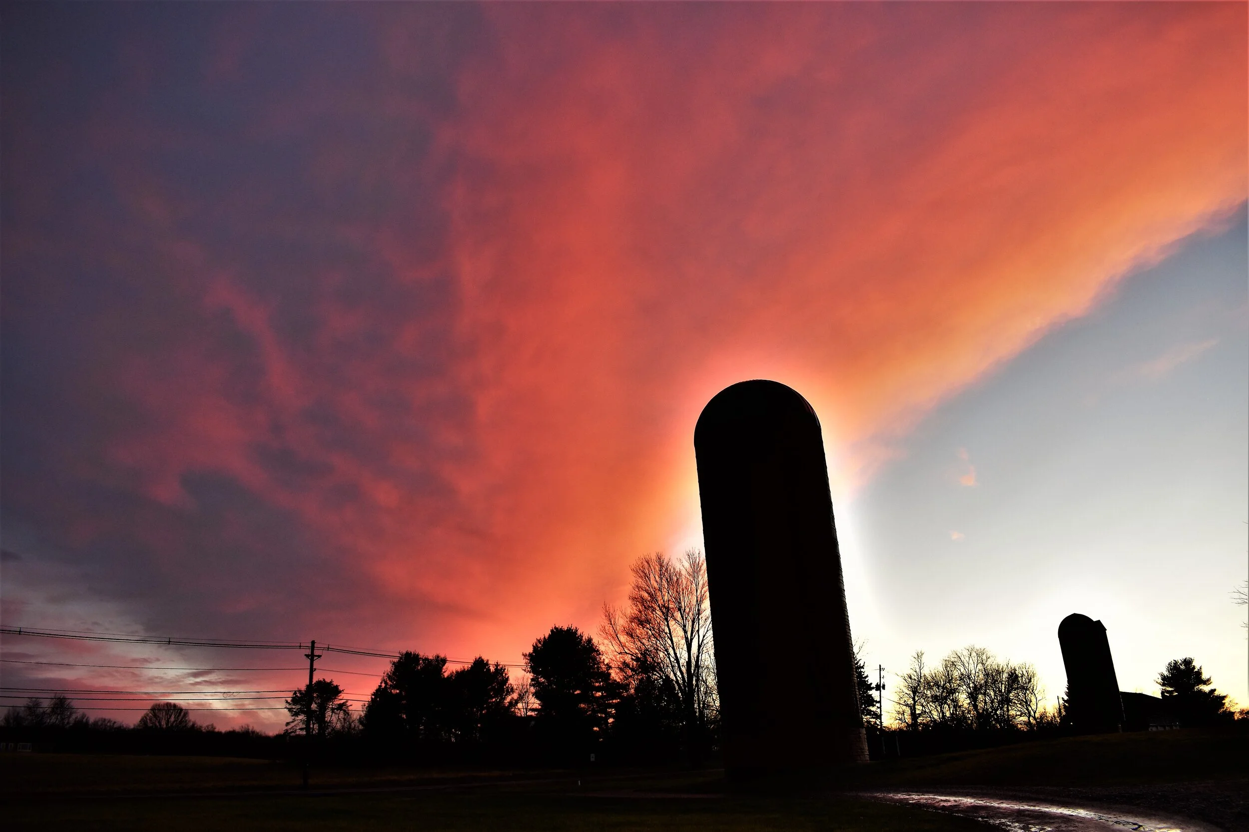 Sunset at the arboretum 2020 by Bill Funcheon.JPG