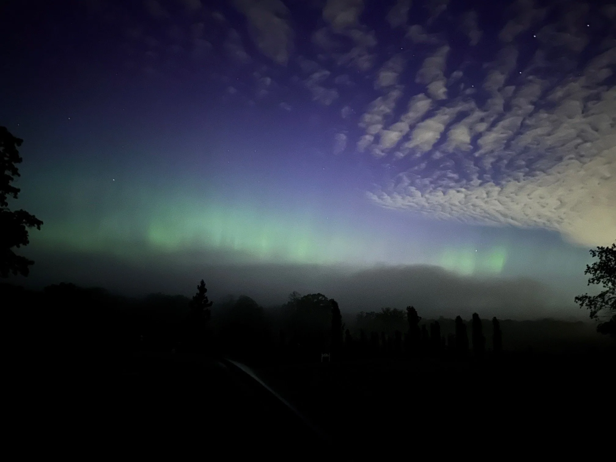 Northern Lights 2024 - 1 by Steve Levitt.jpeg