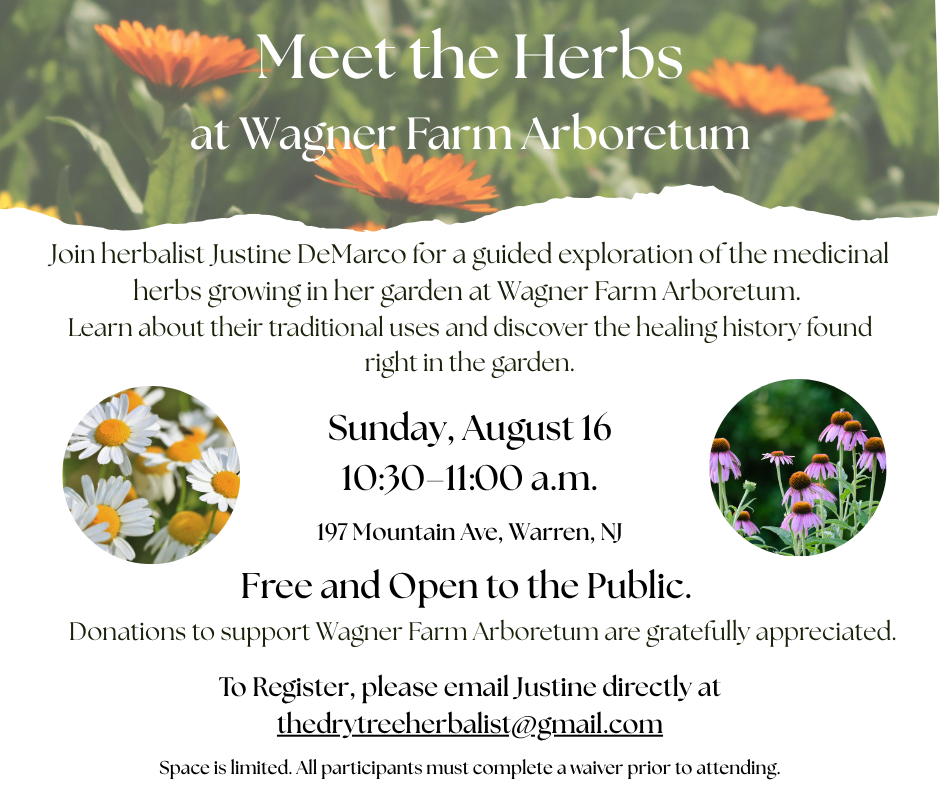 Meet the Herbs
