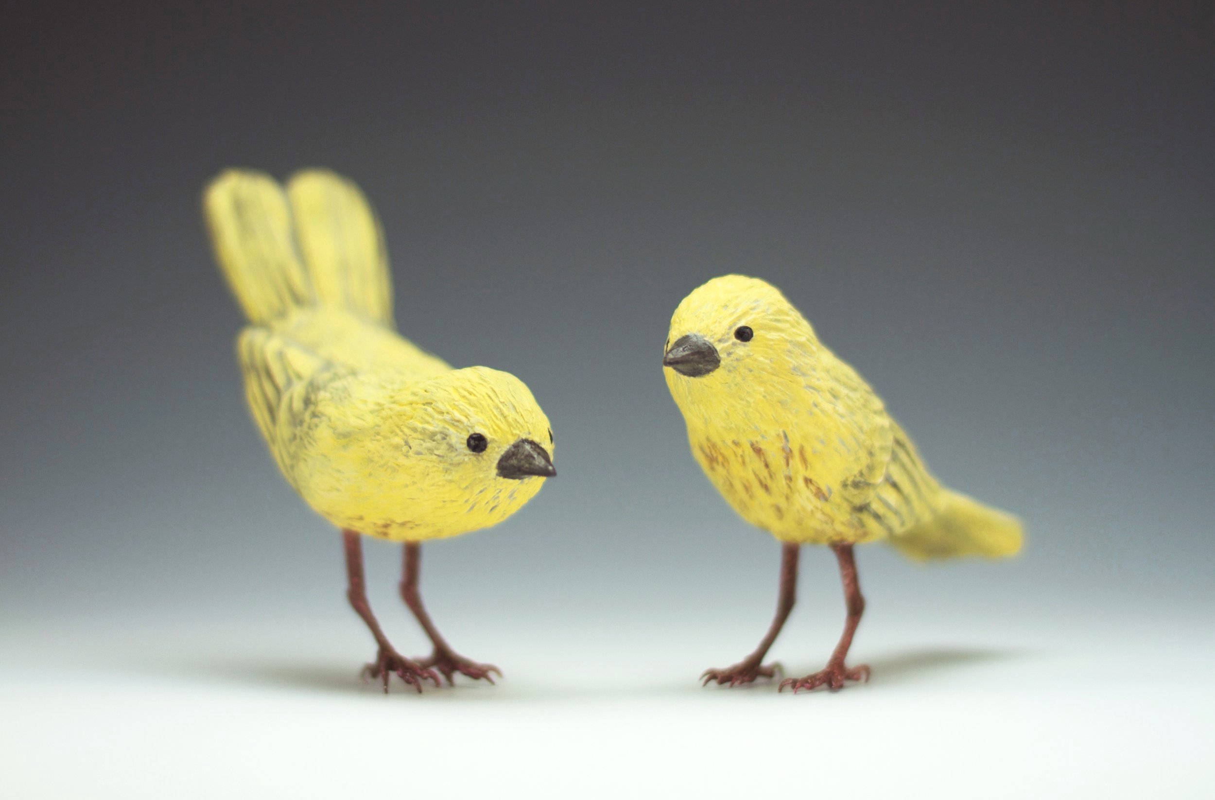 yellowwarblers.jpg