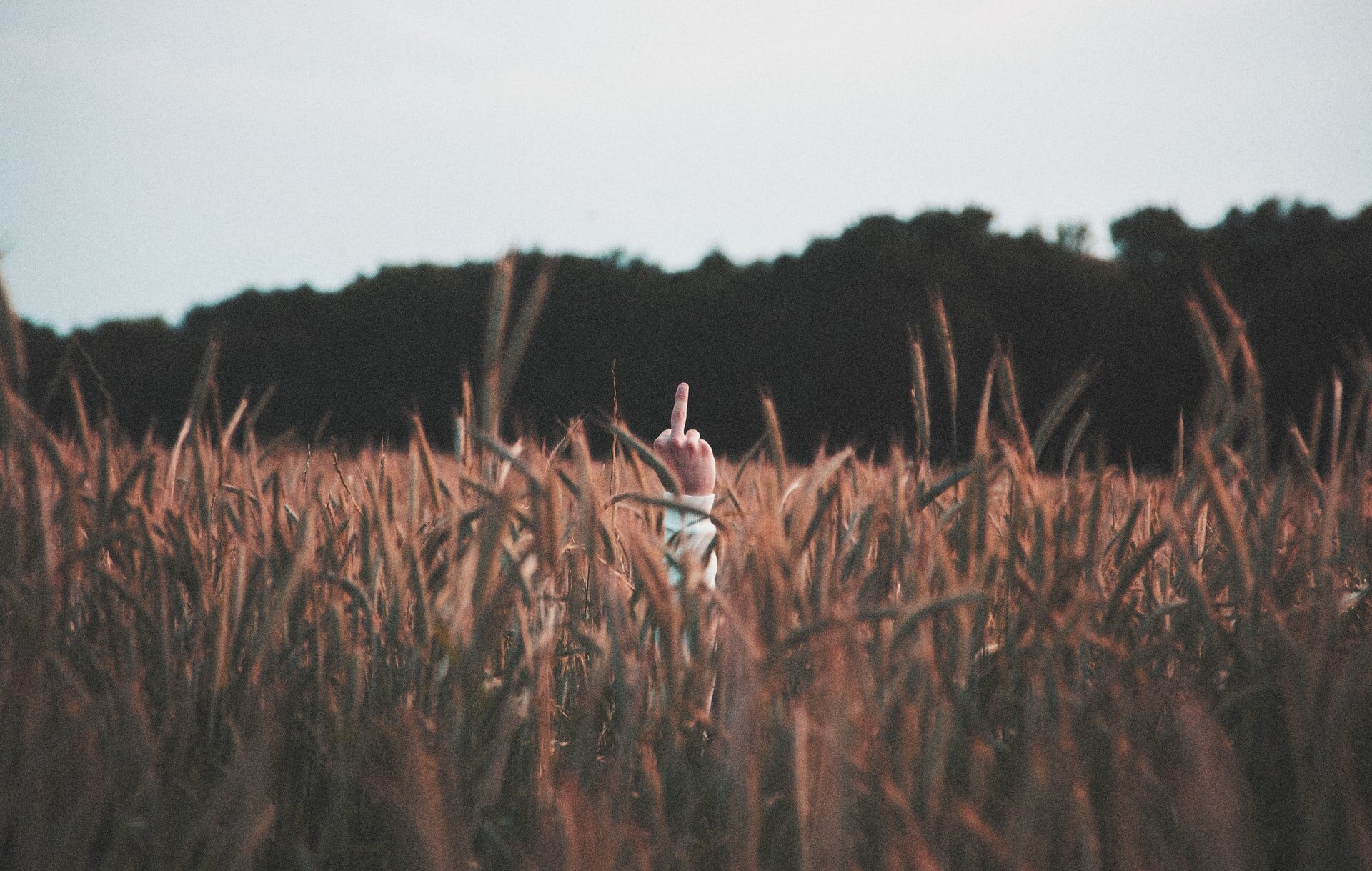 Amidst the Chaos: A Creative Burnout Journey Part 2