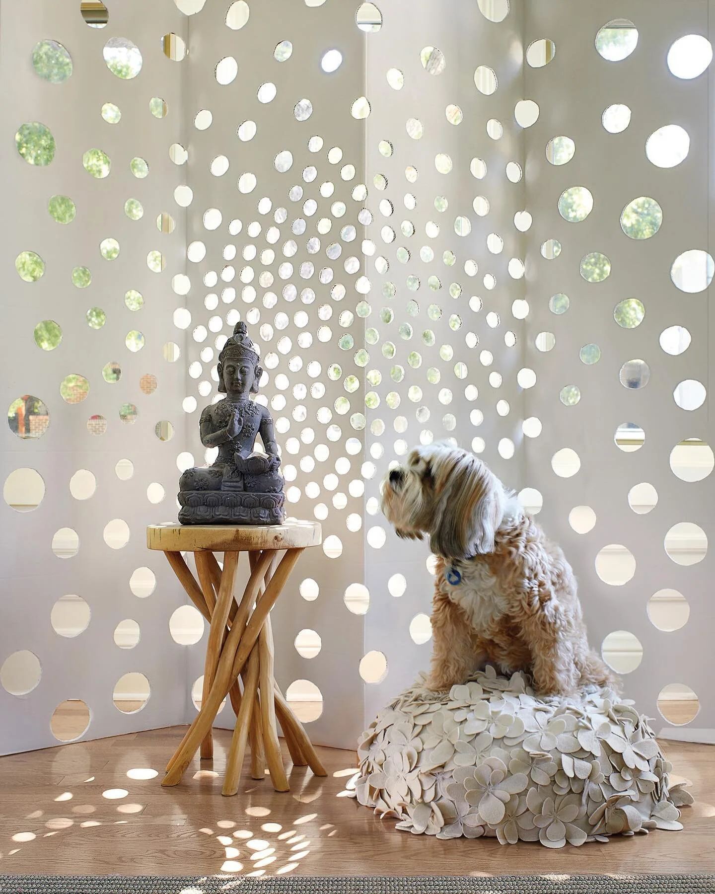 Office dog Daisy attempts to meditate. 🌼 

#LEOInteriors #denverdesigners #denverinteriordesign #designer #denverdesign #interiordesign #coloradodesign #meditationspaces #reflection #createyourownmagic #balance #serenity #denvermeditation #howyouhom