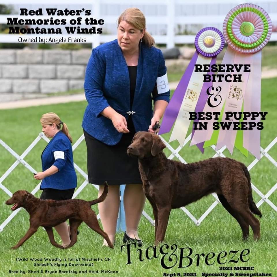 Breeze Tia show2.jpg