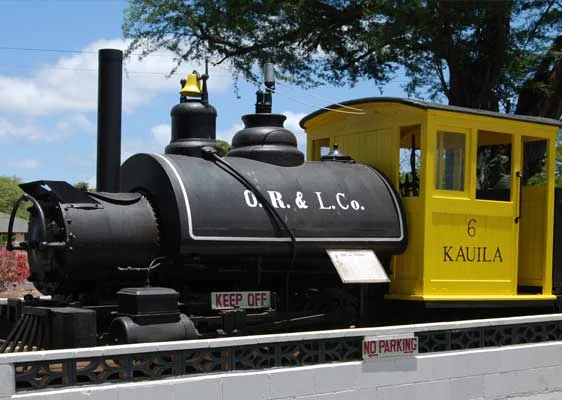 2019 Kannon Jumpai & Family Fun Excursion