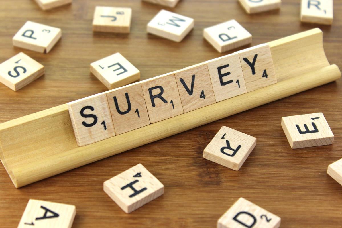 survey.jpg