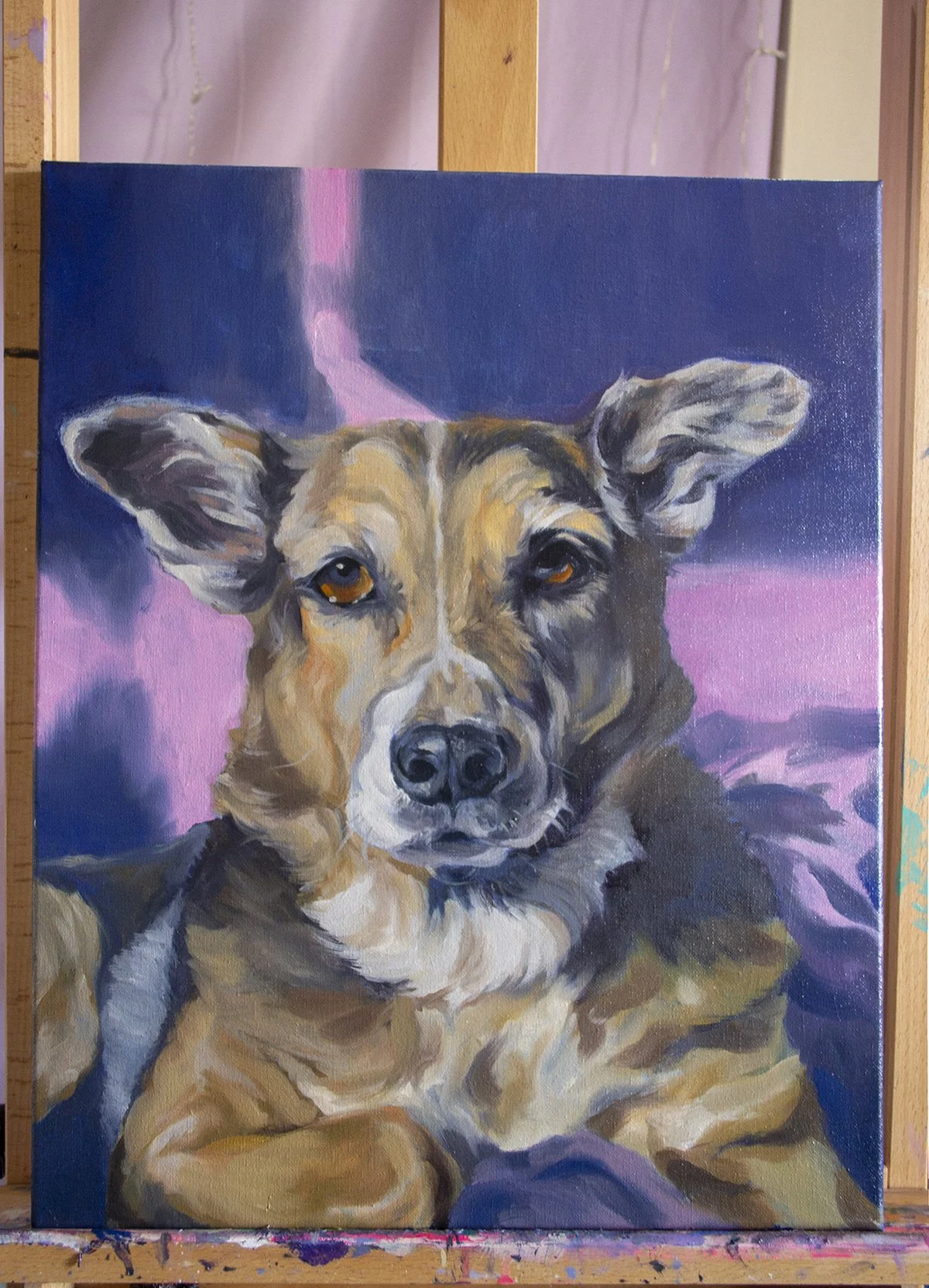 Pet Portrait Commission