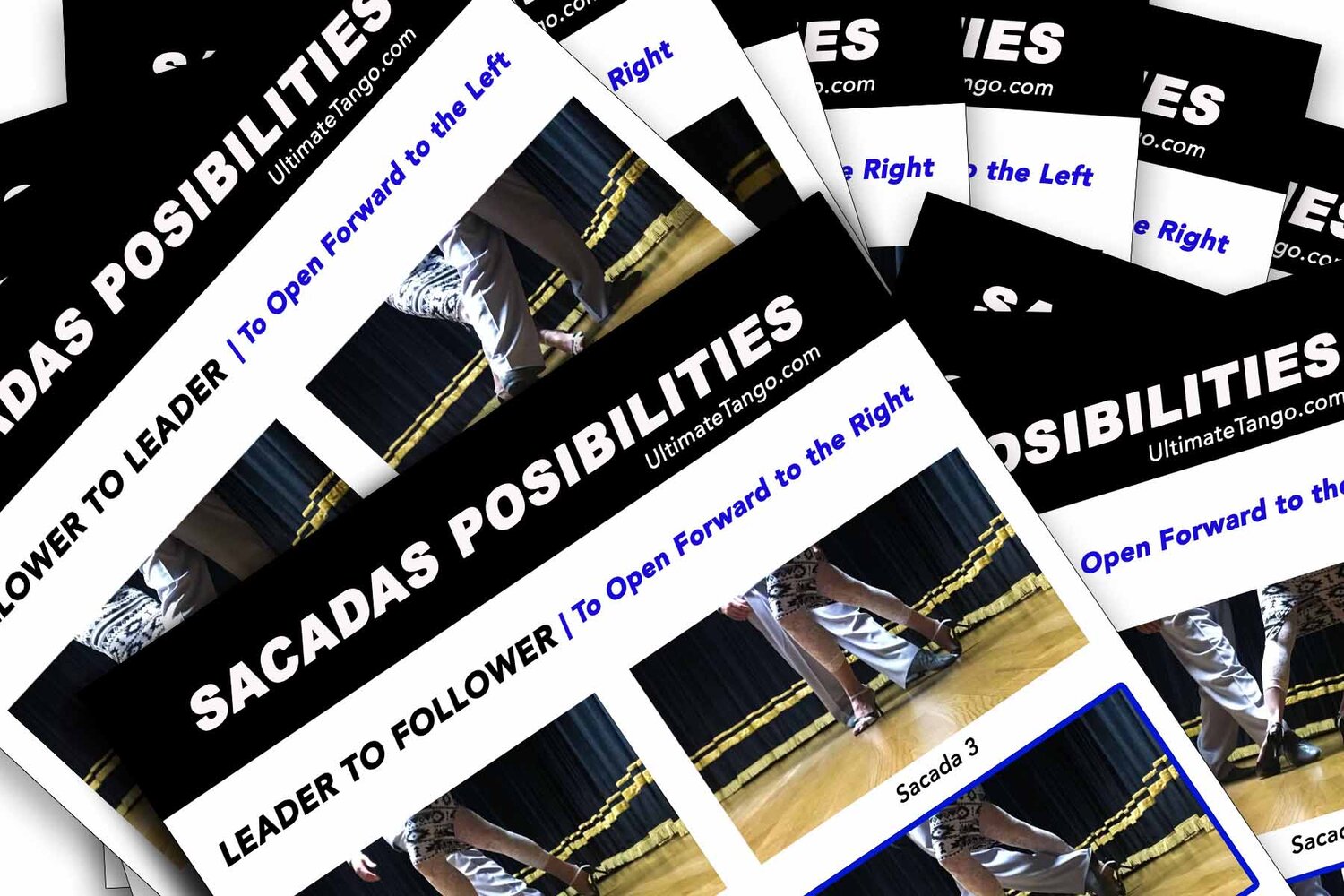64 possibilities of sacadas.jpg