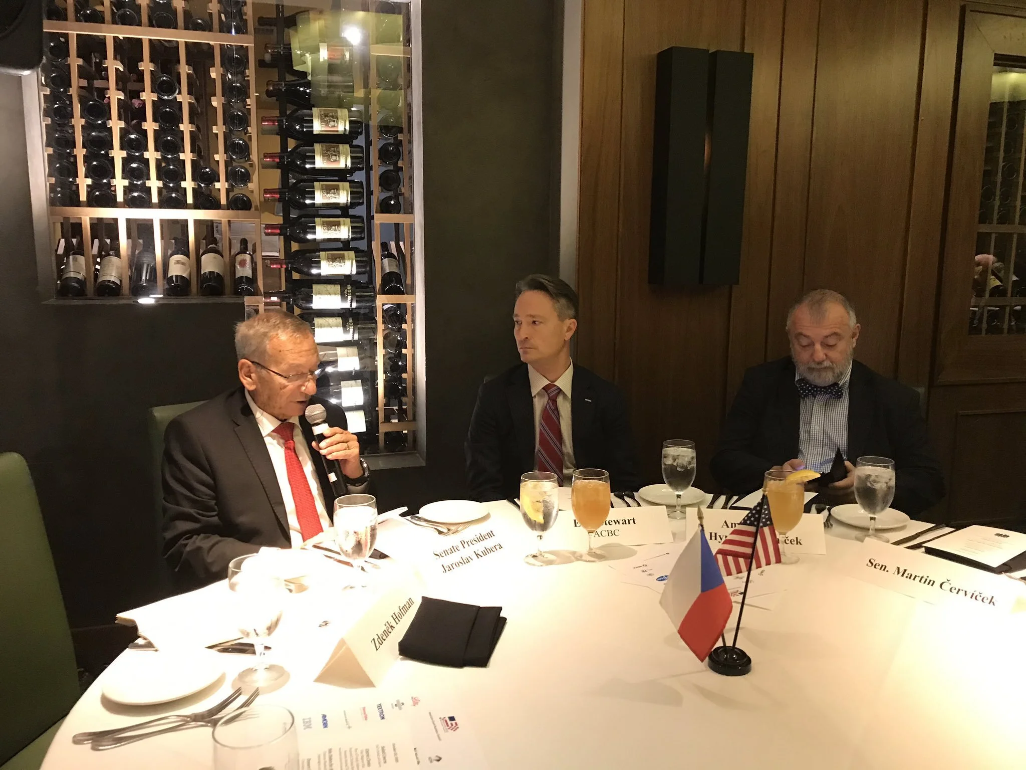 Czech Senate 1.jpg