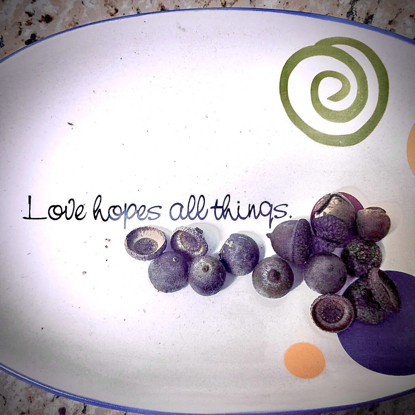 Acorns in the Pantry