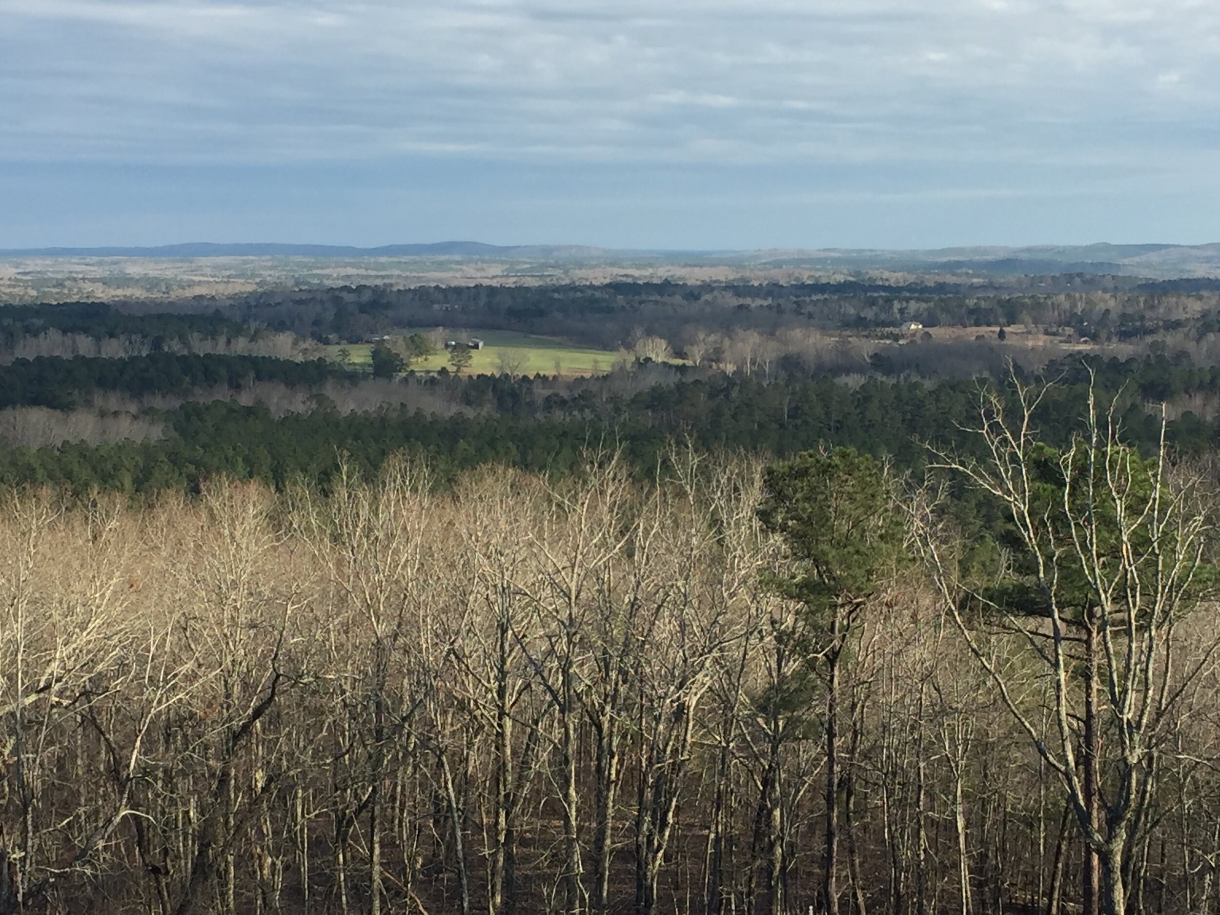 A View from the Mountain