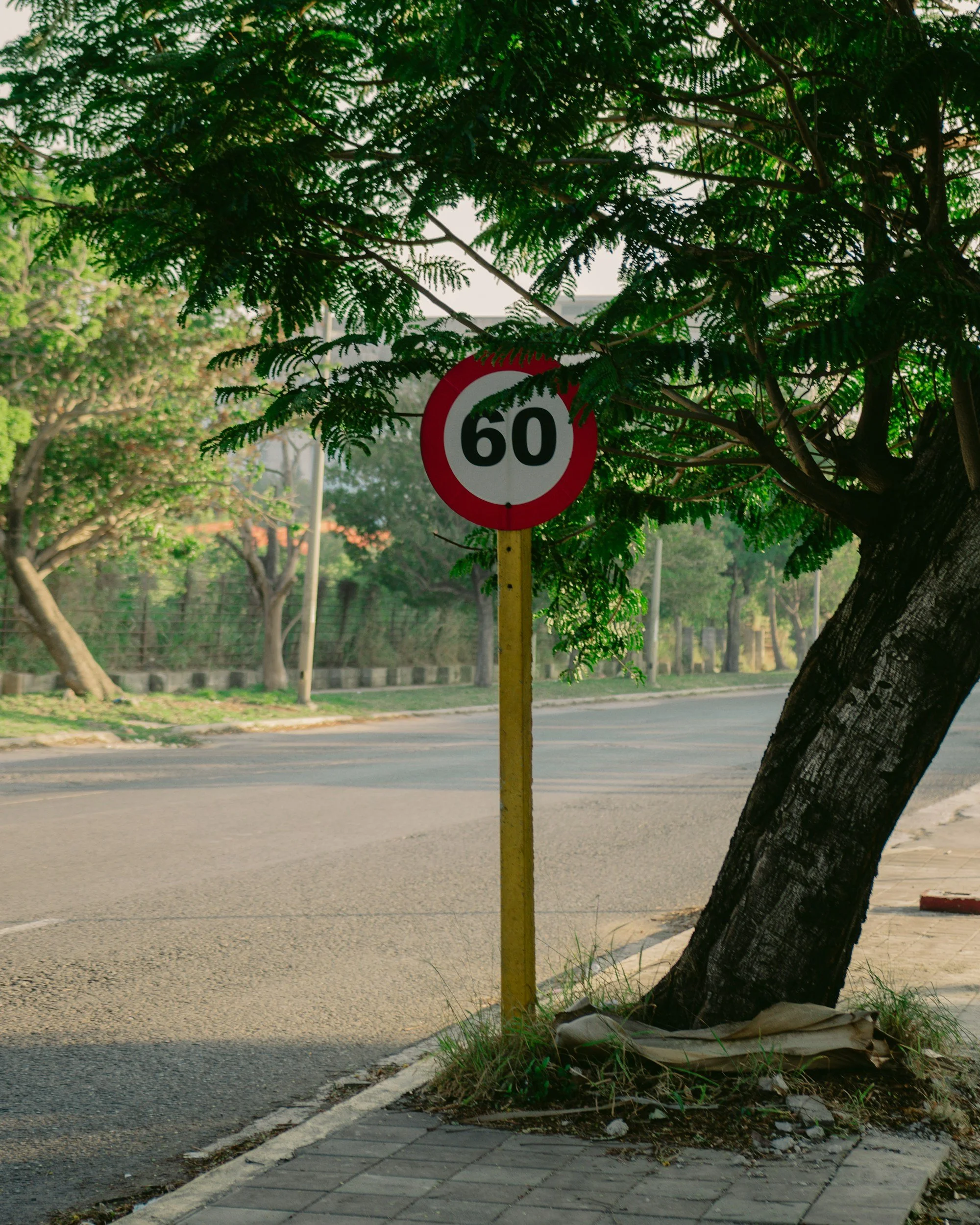 On Turning Sixty