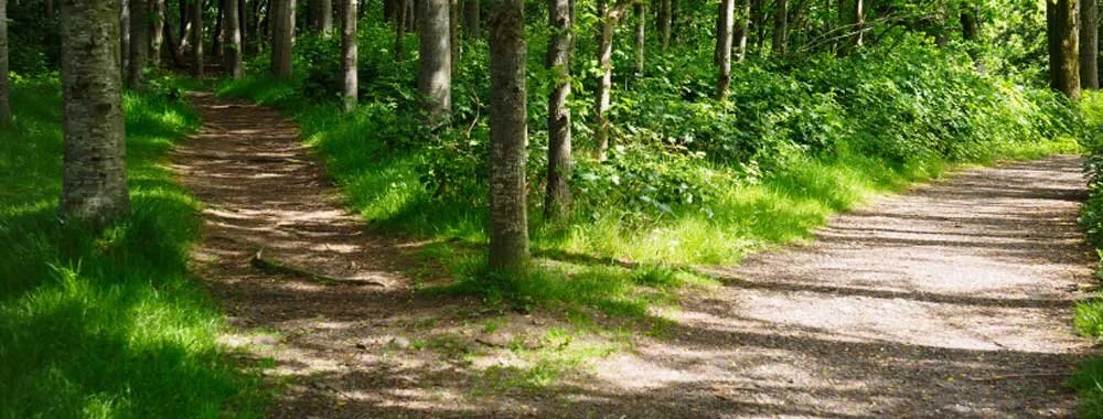 Career and Tech Ed: Threat or Opportunity for Independent Schools?