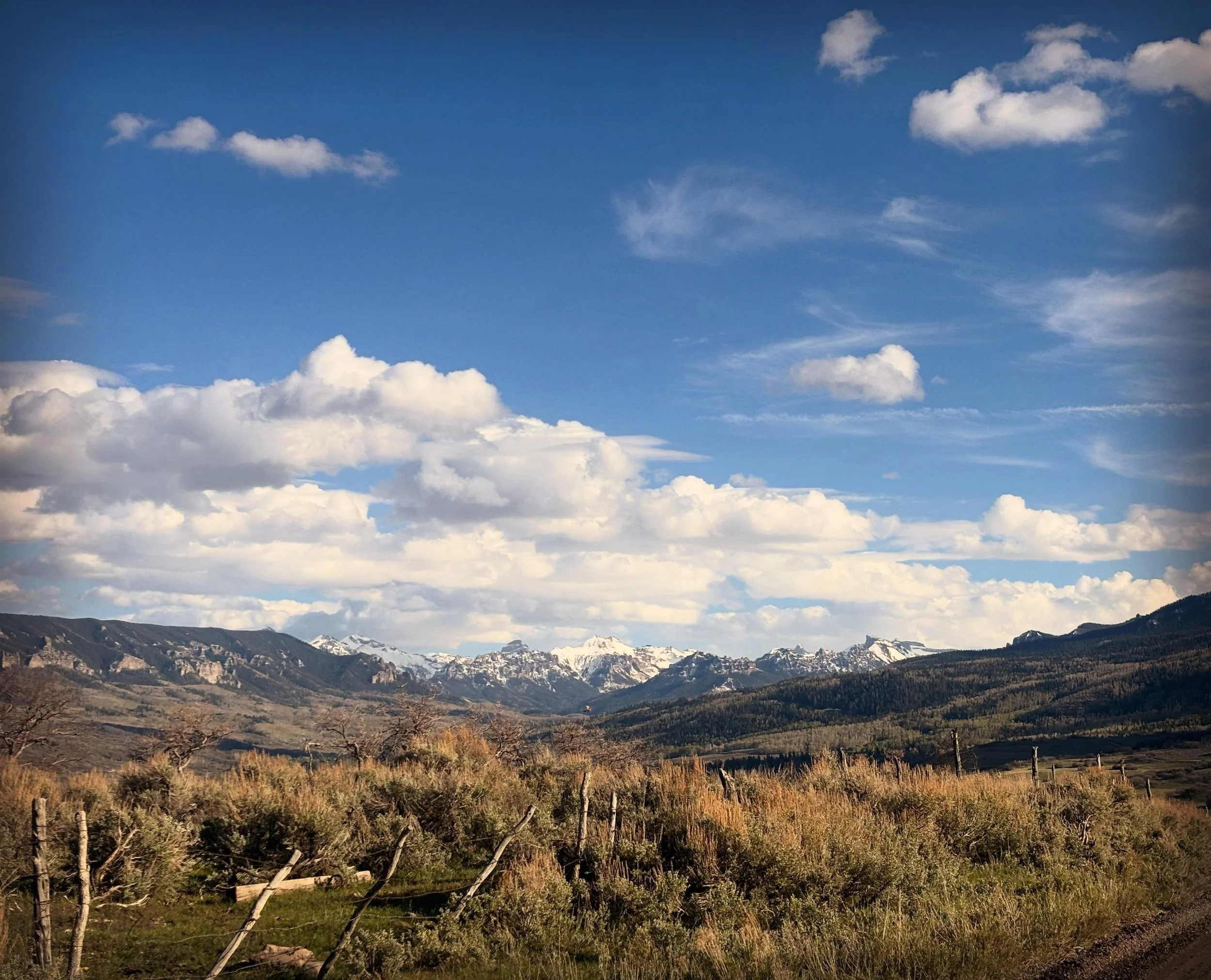 The beauty of Colorado Midwifery! I don&rsquo;t get to be off call and wandering around in the mountains much anymore, but I still make sure to stop, smell the flowers and admire the joys of Spring turning to Summer! 
My photo album is filled with pi